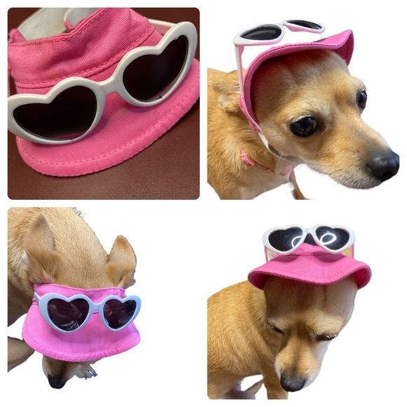 Other - Dog Visor Hat & Sunglasses